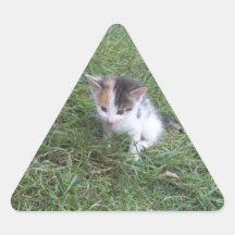 Farm Kitten 2 Sticker