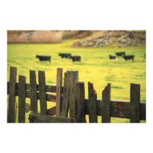 Farm scene art photo