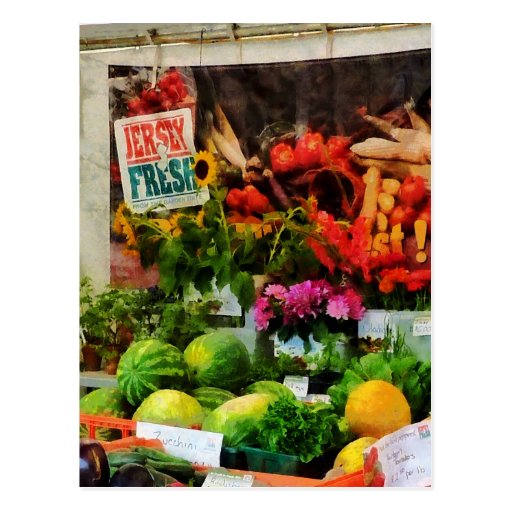 Farmer's Market Post Cards