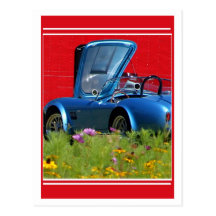 Fast Flowers Post Card