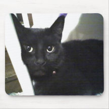 fatcat molly mouse mat
