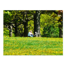 Father and Son Under the Trees Post Cards