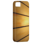 Faux Vintage Stained Glass iPhone 5 Case