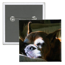Fawn Boxer Dog b utton Button