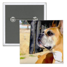 Fawn Boxer Dog button