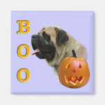 Fawn Mastiff Boo Magnet