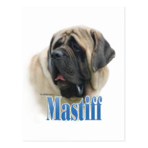 Fawn Mastiff Name Post Card