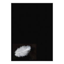 Feather Custom Announcements