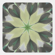 Feather Star Nov 2012 Square Sticker