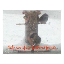 Feathered Friends Post Cards