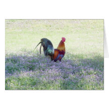 Feathered Pride - Blank Card