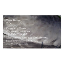 Feathers from Seagull Business Card Templates