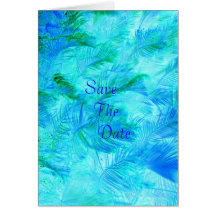 feathers In flight Card