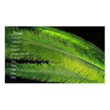 Feathers Profile Card Business Card Templates