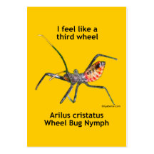 Feel Like A Third Wheel Bug Business Cards