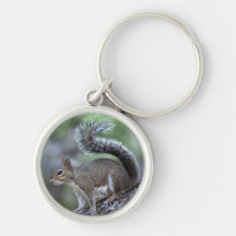 feelin a little squirrely key chains