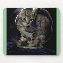 Feelin' Fishy Mouse Pad