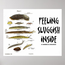 Feeling Sluggish Inside (Slugs Naturalist) Poster