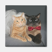 Feline bride and groom magnets