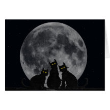 Feline Glare Card