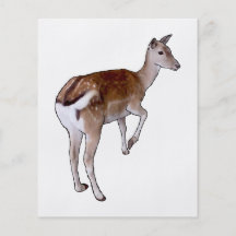 Female Deer. Personalized Flyer