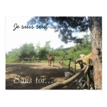 Ferme de cheval dans les bois cartes postales
