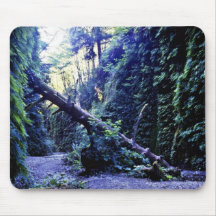 Fern Canyon, Prairie Creek Mousepad