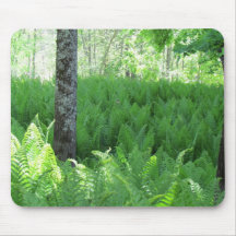 Fern Forest Mouse Pad