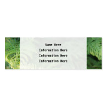 Fern Leaves. Business Card Template