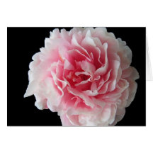 Fern Peony Greeting Card