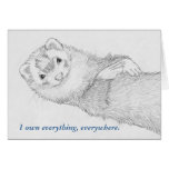 Ferret Card - Pandora Owns