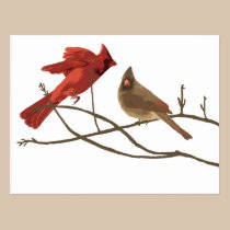Festive Red Cardinals postcards