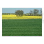 Field Greeting Cards