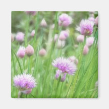 Field Of Chives In Flower Fridge Magnets