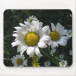 Field of Daisies Mousepad