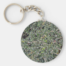 Field of Dry Cut Grass Key Chains