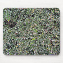 Field of Dry Cut Grass Mousepad