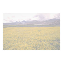 Field of flowers at the Cornish Riviera Customized Stationery