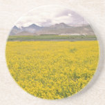 Field of flowers  flowers drink coasters
