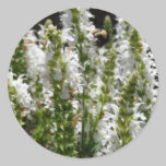 Field of White Lavender Flowers in Field stickers
