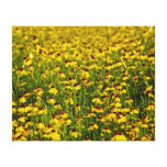 Field Yellow Wildflowers Photo Canvas canvas prints