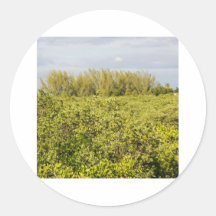 fields of Green Sticker