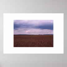 Fields of the French Print