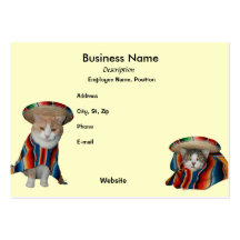 Fiesta/Mexican/Hispanic Theme Business Card Templates