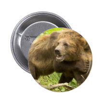 Fighting Bears Round Button