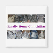 finallyhomechinchillaslogo2 refrigerator magnet