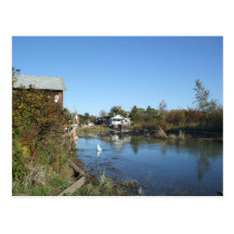 Finn Slough Postcards