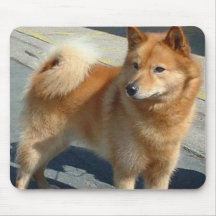 Finnish Spitz Mousepad