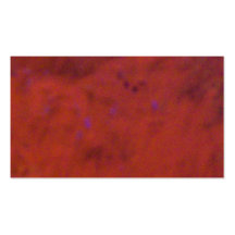 Fire Ball Business Card