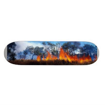 Fire Custom Skate Board